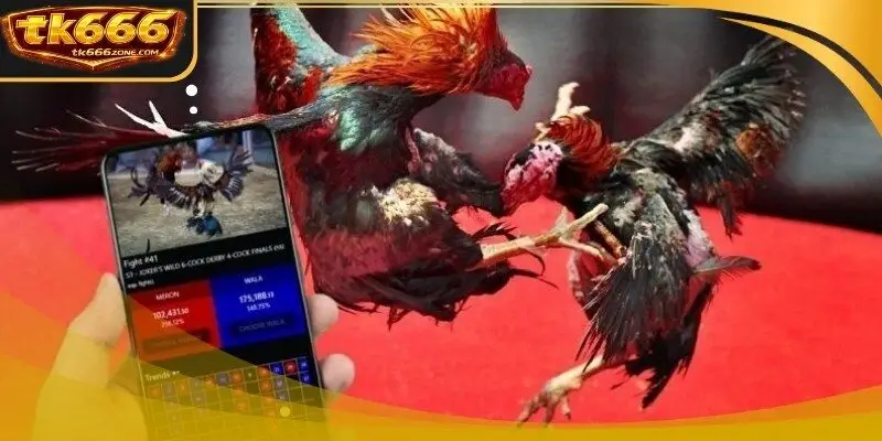 Cockfighting C2 league